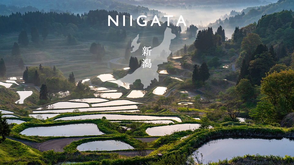 Read more about the article Niigata “Rice terraces of Hoshitoge” Drone movie
