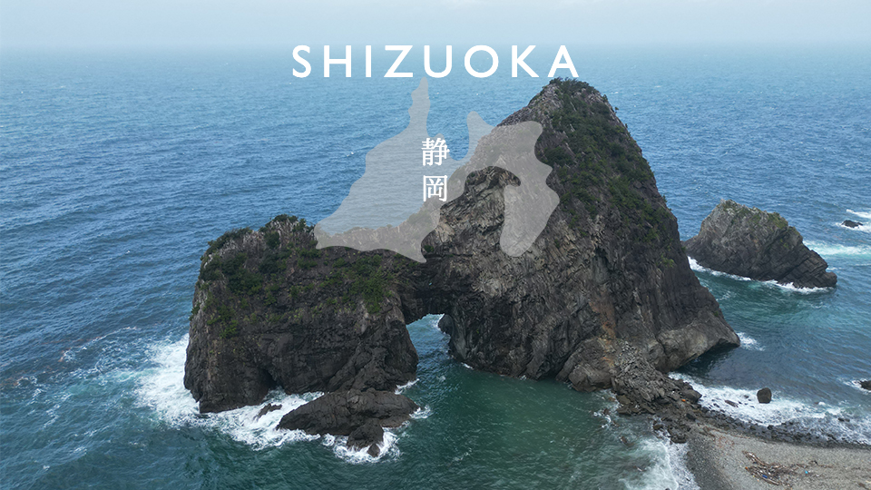 Read more about the article Shizuoka “Senganmon Gate” Drone movie