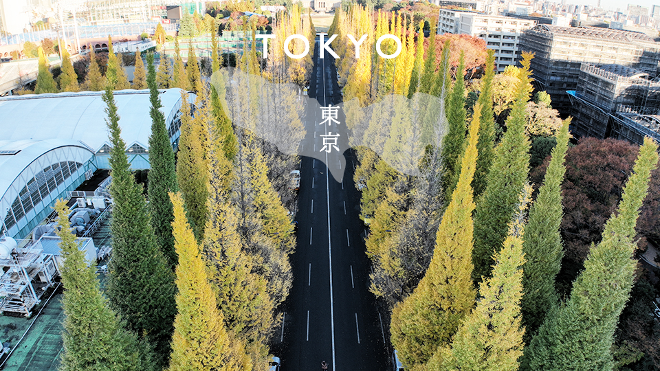 Read more about the article Tokyo “Meiji Jingu Gaien ginkgo trees”  Drone movie