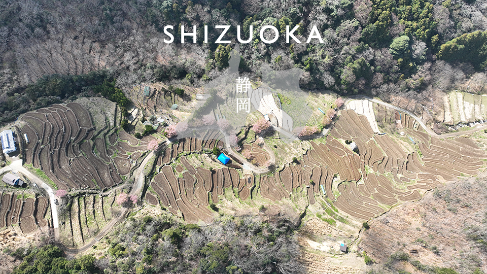 Read more about the article Shizuoka “Ishibe Tanada” Drone movie