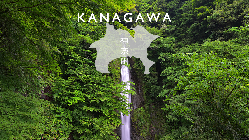 Read more about the article Kanagawa “Shasui Falls” Drone movie