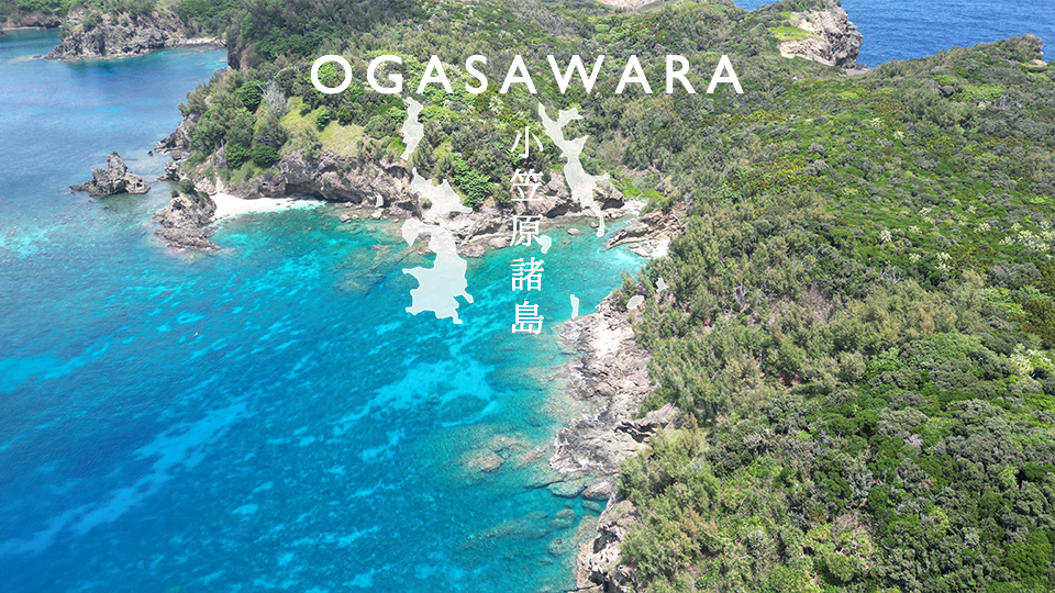 Read more about the article 東京都 小笠原諸島 母島「蓬莱根海岸」ドローン空撮